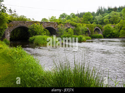 Die Shannon-Fluss fließt unter der Battlebridge in der Nähe von Leitrim Dorf, County Leitrim, Irland Stockfoto