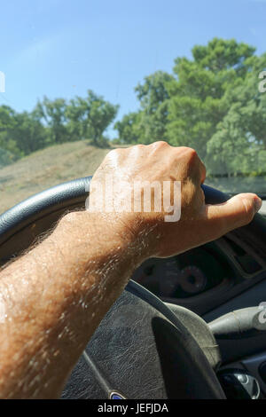 Nass von Schweiß Hand am Lenkrad, Auto, Nahaufnahme, trockenen mediterranen Wald. Spanien. Stockfoto