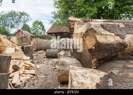 Holzscheite in einem Sägewerk in der Maramures-region Stockfoto