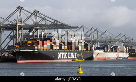 ROTTERDAM, Niederlande - 13. Januar 2012: Containerschiffe vor Anker an der ECT-Terminal im Hafen von Rotterdam. Stockfoto