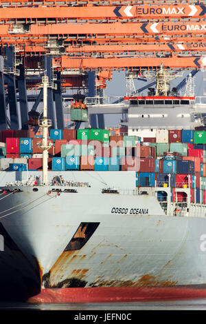 ROTTERDAM, Niederlande - 16. März 2016: Containerschiff geladen mit einem Seecontainer auf die Euromax Containerterminal im Hafen von Rotterdam. Stockfoto