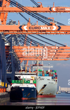 ROTTERDAM, Niederlande - SEP 8, 2012: Containerschiffe vor Anker auf der Euromax Containerterminal im Hafen von Rotterdam. Stockfoto