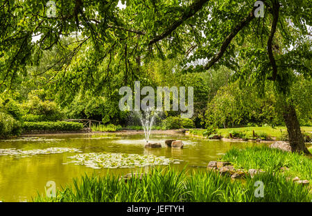 See und Brunnen in den Wassergärten in Cliveden, Buckinghamshire, Großbritannien Stockfoto