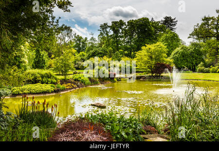 See und Brunnen in den Wassergärten in Cliveden, Buckinghamshire, Großbritannien Stockfoto