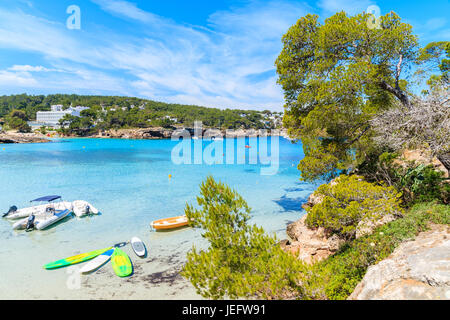 Grüne Tanne auf Klippe Felsen mit Blick auf schöne Cala Portinatx Bucht mit Surfbretter und Schlauchboote am azurblauen Meer Wasser, Insel Ibiza, Spanien Stockfoto