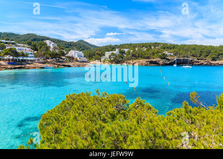 Grüne Tanne auf Klippe Felsen mit Blick auf schöne Cala Portinatx Bucht mit Hotels an der Küste, Insel Ibiza, Spanien Stockfoto