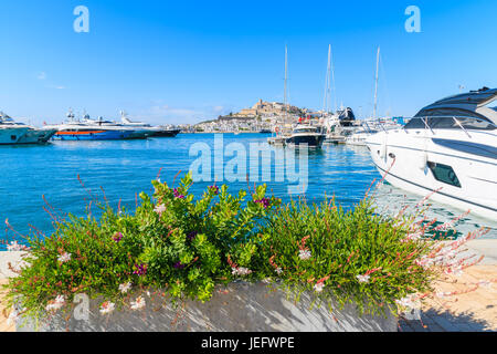Luxus Motorboote im Hafen von Ibiza (Eivissa) auf der Insel Ibiza, Spanien Stockfoto