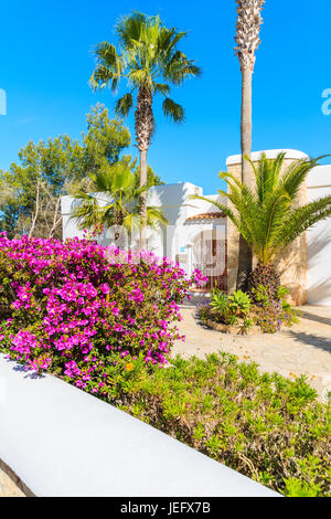 Insel IBIZA, Spanien - 20 Mai 2-17: Luxus-weiße Farbe-Ferien-Villa und hohen Palmen im Garten in Cala Nova Gegend der Insel Ibiza, Spanien. Stockfoto