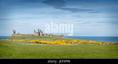 Dunstanburgh Castle in Northumberland, England, Vereinigtes Königreich, Europa. Stockfoto