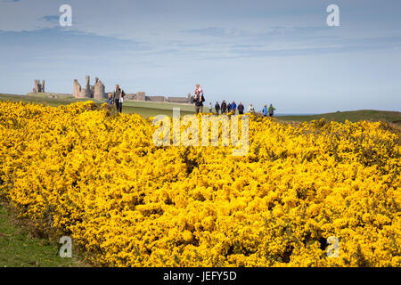 Dunstanburgh Castle in Northumberland, England, Vereinigtes Königreich, Europa. Stockfoto