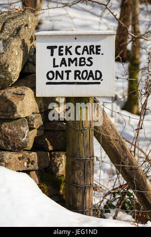 Tek Pflege Lämmer Ont Straße.  Ein Zeichen geschrieben im Norden von England Dialekt bittet Autofahrer um Neugeborene Lämmer kümmern. Stockfoto