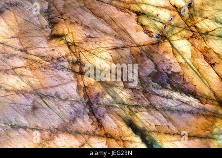 Polierter Labradorit-Kristall. Ein Plagioclase Tectosilikat. Anzeige schillernder Farben über Labradoreszenz. Macro Photo, Großbritannien, Juni 2017. Stockfoto