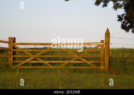 Ein hölzernes Bauernhoftor im Goldenen Abendlicht. Devon, Großbritannien. Juni 2017. Stockfoto