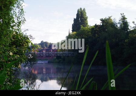 Suchen flussaufwärts entlang dem Fluß Exe an einem ruhigen Misty Sommermorgen in Richtung Karottenhosenträger Weir Hängebrücke. eXeter, Devon, UK. Juni 2017. Stockfoto