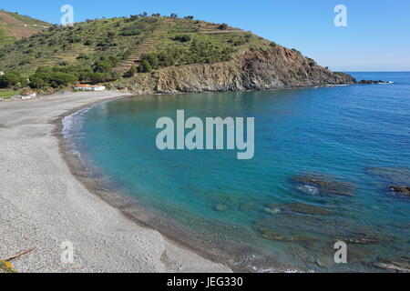 Küstenlandschaft mediterranen pebble Beach Peyrefite mit ruhigen Meer, südlich der Pyrenäen Orientales, Roussillon, Frankreich, Cote Vermeille Stockfoto