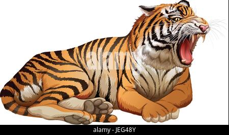 Wilden Tiger brüllen auf weißem Hintergrund illustration Stock Vektor