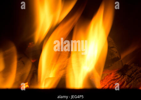 Bild von einem Lagerfeuer in der Nacht, mit Hickory-Protokolle brennen Stockfoto