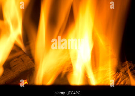 Bild von einem Lagerfeuer in der Nacht, mit Hickory-Protokolle brennen Stockfoto