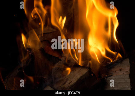 Bild von einem Lagerfeuer in der Nacht, mit Hickory-Protokolle brennen Stockfoto