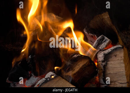 Bild von einem Lagerfeuer in der Nacht, mit Hickory-Protokolle brennen Stockfoto
