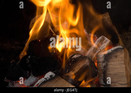 Bild von einem Lagerfeuer in der Nacht, mit Hickory-Protokolle brennen Stockfoto