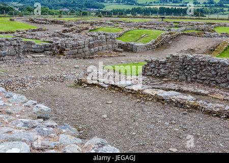 Northumberland, England, Vereinigtes Königreich.  Corbridge Römerstadt. Stockfoto