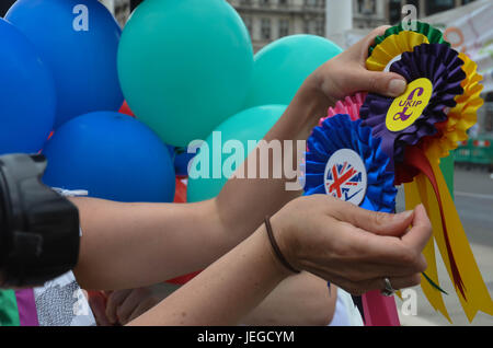 London, UK. 24. Juni 2017. Protest am Parliament Square auf eine gleiche Stimme. "Verhältniswahl, können ändern Sie den Prozess der Abstimmung, Art und Weise die UK-Abstimmung für eine faire und gleiche Verteilung der Urabstimmung durchgeführt wird." Bildnachweis: Philip Robins/Alamy Live-Nachrichten Stockfoto