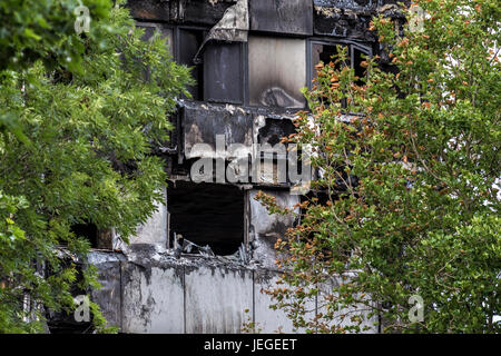 London, UK. 24. Juni 2017. Grenfell Turm im Westen von London nach einem Brand zerstörte alle Gebäude und hat Dutzende von Bewohnern das Leben gekostet. Bildnachweis: Dominika Zarzycka/Alamy Live-Nachrichten Stockfoto