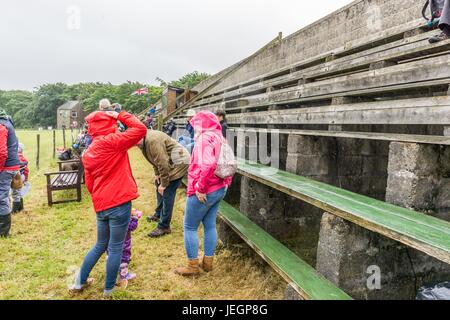 Verhärten Sie Moos, Holmfirth, UK. 25. Juni, wegbleiben 2017.The Massen bei den Harden Moss Schaf Hund Prozessen vor dem Regen. Bildnachweis: CARL DICKINSON/Alamy Live-Nachrichten Stockfoto