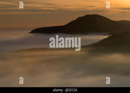 Schwarzwald, neblige Stimmung, Schauinsland, Schwarzwald, Nebelstimmung Stockfoto