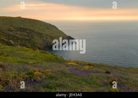 Küste bei Botallack in Cornwall Stockfoto