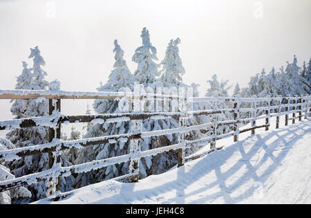 Winterbäume und Holzzaun bedeckt im Schnee, die Grenzen eine Bergstraße auf Wintersaison in Poiana Brasov, Rumänien Stockfoto