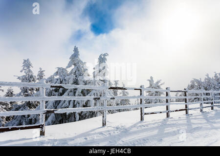 Winterbäume und Holzzaun bedeckt im Schnee, die Grenzen eine Bergstraße auf Wintersaison in Poiana Brasov, Rumänien Stockfoto