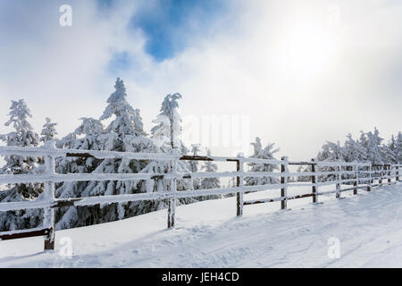 Winterbäume und Holzzaun bedeckt im Schnee, die Grenzen eine Bergstraße auf Wintersaison in Poiana Brasov, Rumänien Stockfoto