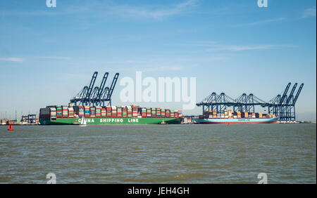 China Shipping Line Container Ship wird im Hafen von angedockt Felixstowe Suffolk UK Stockfoto