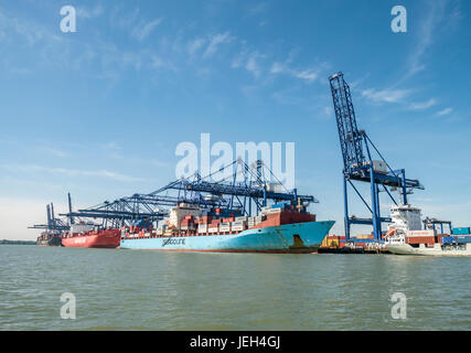 Container-Schiffe be- und Entladen am Hafen von Felixstowe Suffolk UK Stockfoto