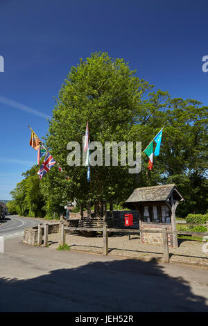 Die Laube Baum Aston auf Clun Shropshire West Midlands England UK Stockfoto