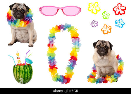 süße Mops Welpen Hund mit bunten Sommer Party Elemente isoliert auf weißem Hintergrund Stockfoto