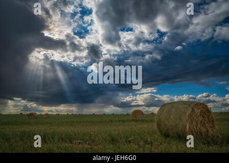 Sonnenlicht bricht durch die Wolken über ein Feld von Heuballen; Saskatchewan, Kanada Stockfoto