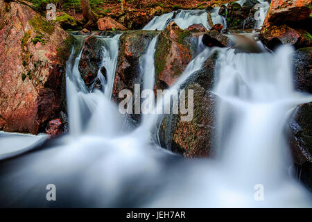 Wasserfälle auf Pferd Weide Brook; Wentworth Tal, Nova Scotia, Kanada Stockfoto