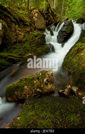 Moose und großen Felsbrocken an einem Wasserfall auf Pferd Weide Brook; Wentworth Tal, Nova Scotia, Kanada Stockfoto