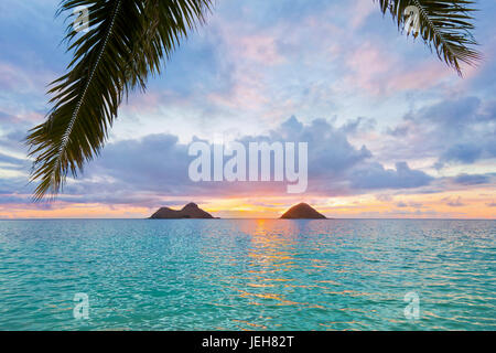 Wunderschönen Sonnenaufgang am Lanikai Beach mit Blick auf die Twin-Makulua-Inseln; Kailua, Oahu, Hawaii, Vereinigte Staaten von Amerika Stockfoto