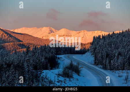 Schneebedeckte glühende Berge bei Sonnenaufgang mit Schnee bedeckten geschwungenen Hügel Straße und verschneite immergrünen Bäumen und blauen Himmel, westlich von Bragg Creek Stockfoto