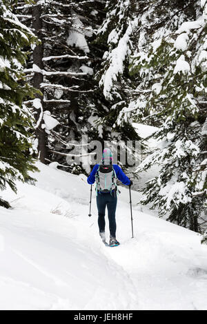 Weibliche Schneeschuhwandern auf einem Wanderweg im Schnee bedeckt Wald, östlich von Feld; British Columbia, Kanada Stockfoto