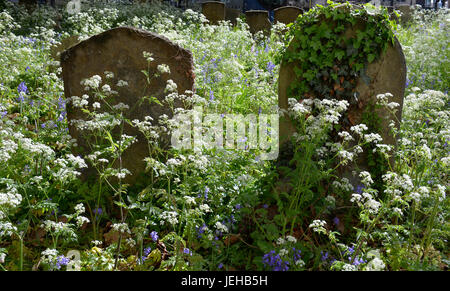 St Mary Magdalen Kirche, Oxford, England, uk Stockfoto