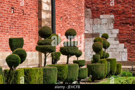 Landschaftsgestaltung der Bäume in der Burg von Krakau an einem sonnigen Tag Stockfoto