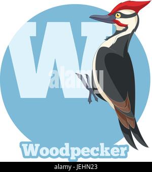 ABC-Cartoon-Specht Stock Vektor