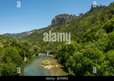 Le Rozier, gebrochene Brücke, Gorges du Tarn UNESCO World Heritage Site. Grands Causses regionalen Naturparks. Lozere. Frankreich. Europa Stockfoto