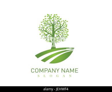 Eiche design Stock Vektor