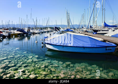 GENF – 25. JULI 2011. In einem Hafen in Genf verankerte Yachten. Der Genfersee ist berühmt für sein tiefblaues und bemerkenswert transparentes Wasser. Stockfoto